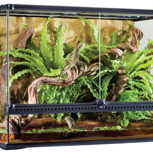 Come Creare un Terrario Perfetto Senza Spendere una Fortuna PetMania