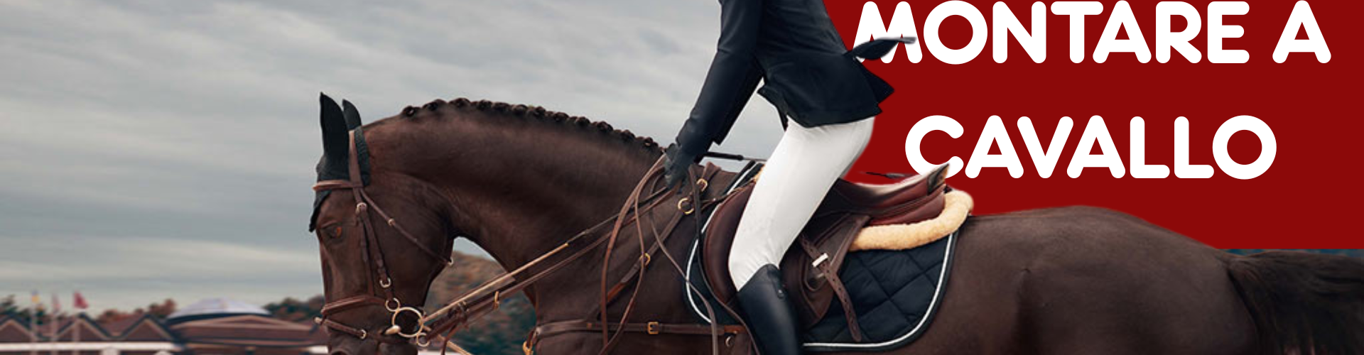 Come Montare a Cavallo: Guida per Principianti e Appassionati PetMania
