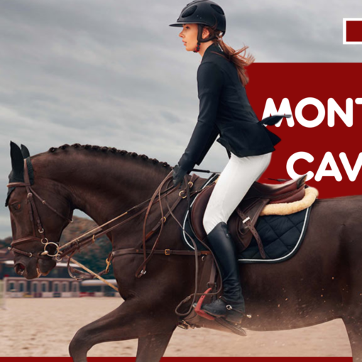 Come Montare a Cavallo: Guida per Principianti e Appassionati PetMania