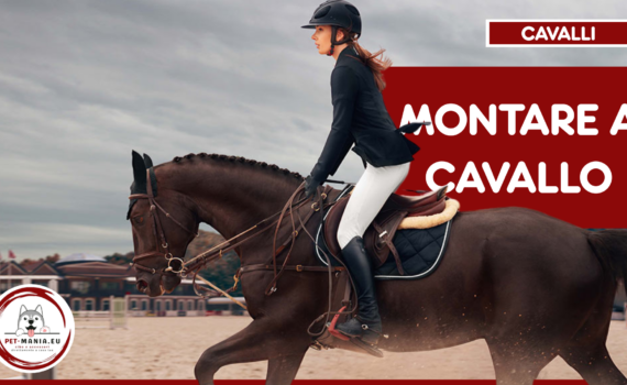 Come Montare a Cavallo: Guida per Principianti e Appassionati PetMania