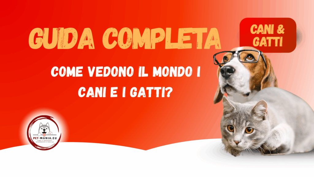 Come vedono il mondo i cani e i gatti? -PetMania guide-