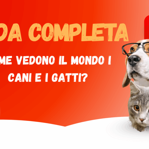 Come vedono il mondo i cani e i gatti? -PetMania guide-