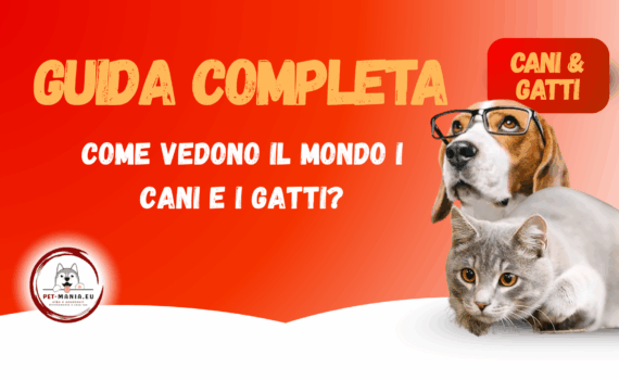 Come vedono il mondo i cani e i gatti? -PetMania guide-